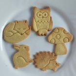 Erdei állatok (5db-os sütikiszúró készlet)