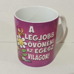 Legjobb óvónéni az egész világon bögre