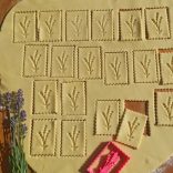 Levendulás kekszmintázó